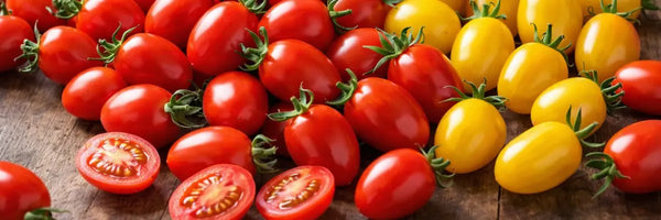DATTERINI